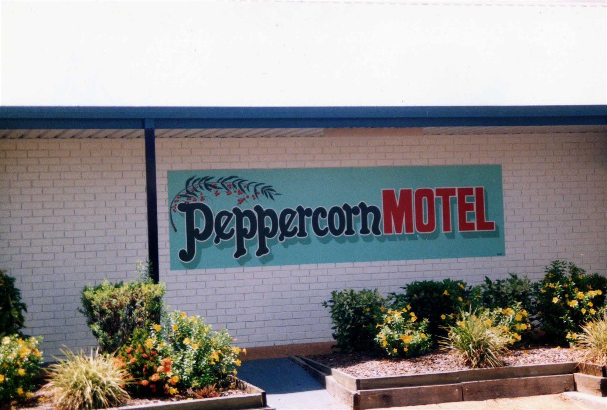 Peppercorn Motel Clermont エクステリア 写真